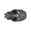 TORX Insert Bits
