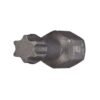TORX Insert Bits