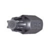 TORX Insert Bits