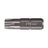 TORX Tamper Insert Bits - 516 Shank