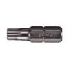 TORX Tamper Insert Bits