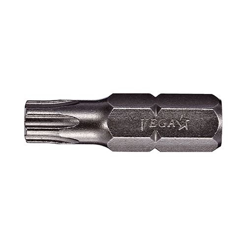 TORX Tamper Insert Bits