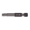 TORX Tamper Power Bits