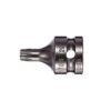 TORX Tamper Socket Bits - 1/4" Sq Drive
