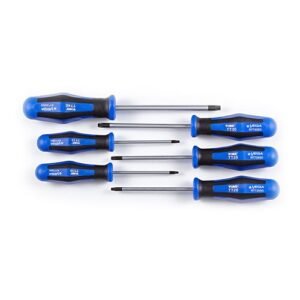 TORX Tamper Screwdriver Set