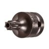 TORX Tamper Socket Bits - 1/2" Sq Drive